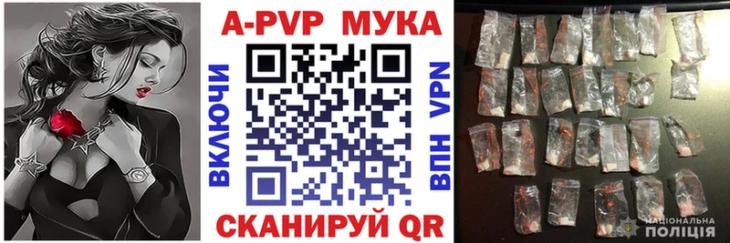 A-PVP СК КРИС  Ростов 